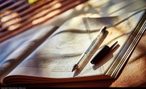 study_aigledore_cc-by-2.0jpg.jpg